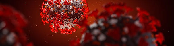 COVID-19 Virus