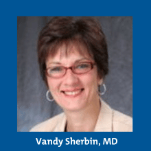 Vandy Sherbin