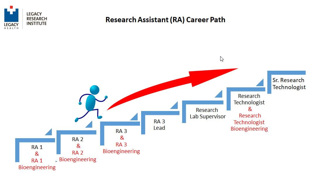 research assistant career progression