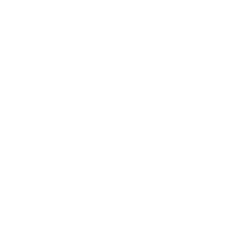 Apple icon