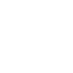 Questions icon