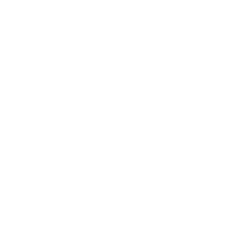 Stethoscope icon