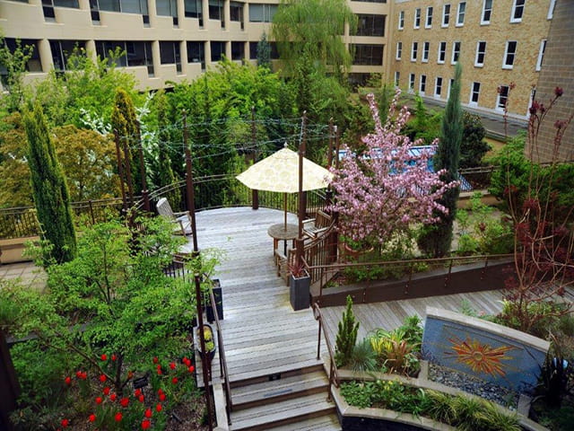 Evidence of hospital gardens' therapeutic value | Legacy Health