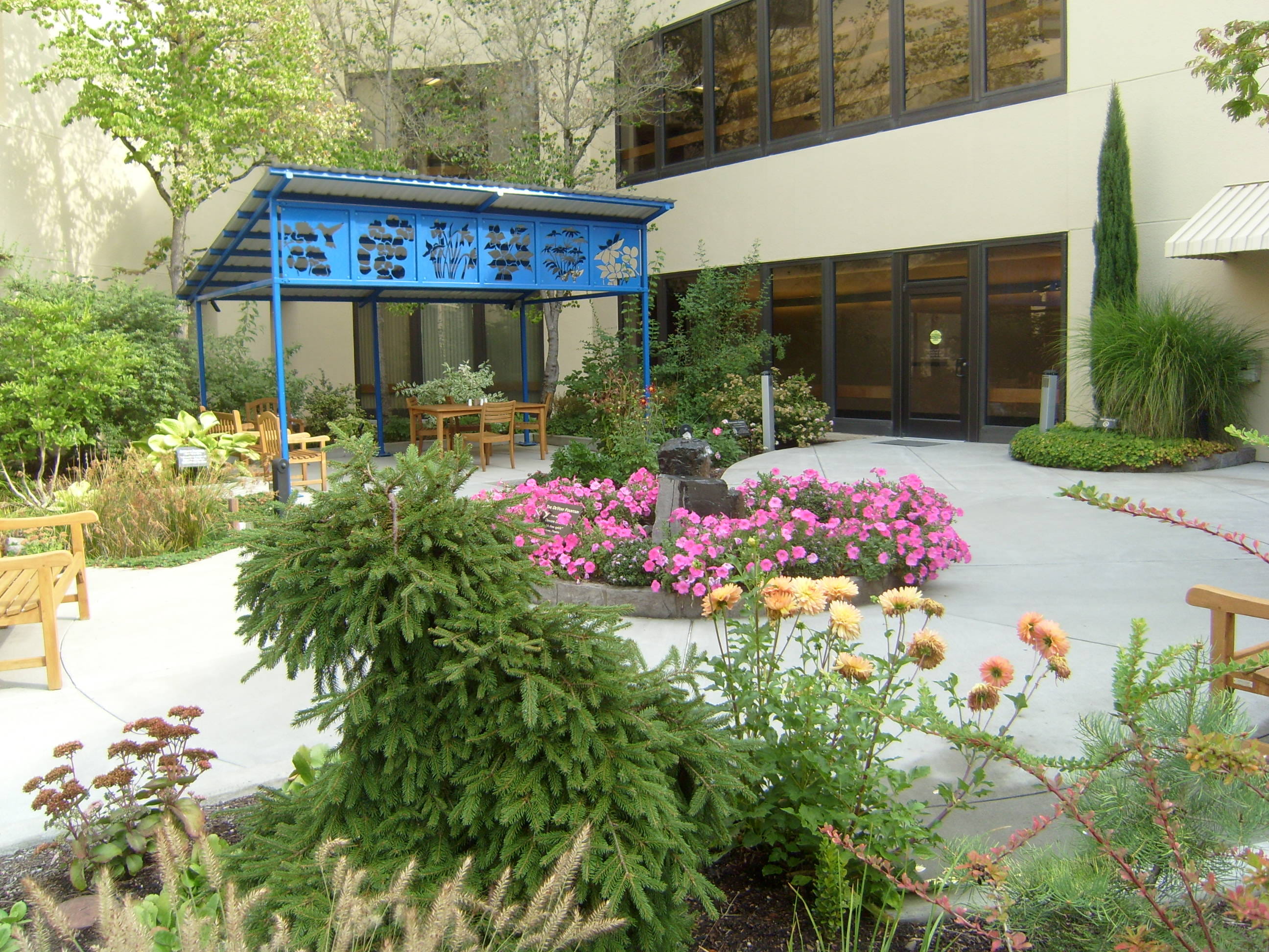 Meridian Park Medical Center garden park bench view