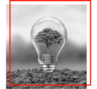 A tree within a lightbulb representing sustainability