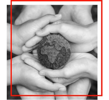 4 sets of hands holding a globe