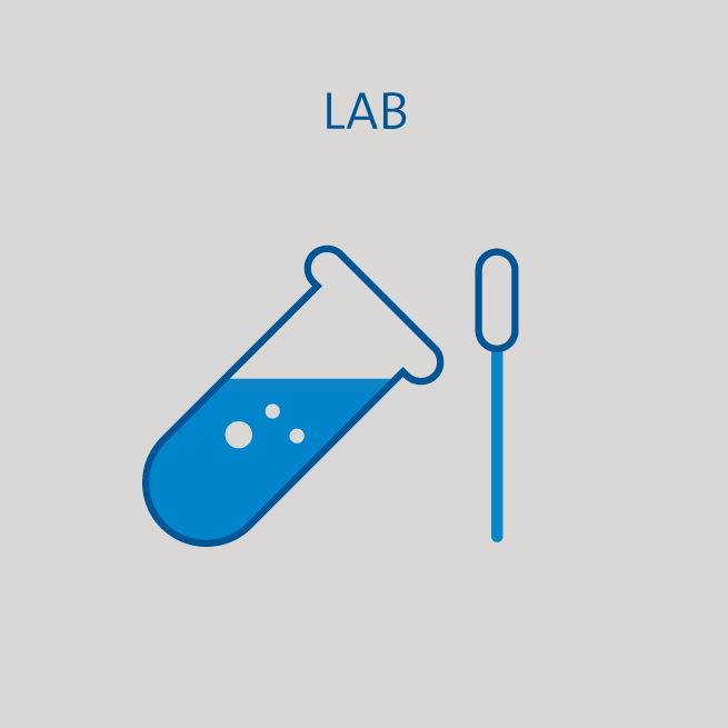 lab