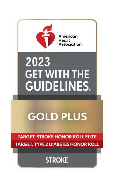 rectangular award icon, with American Heart Association logo at the top, white text and gray background below stating 2023 GET WITH THE GUIDELINES, gold emblem in the center of the icon with white text stating GOLD PLUS, with red lines under and STROKE in white text and gray background